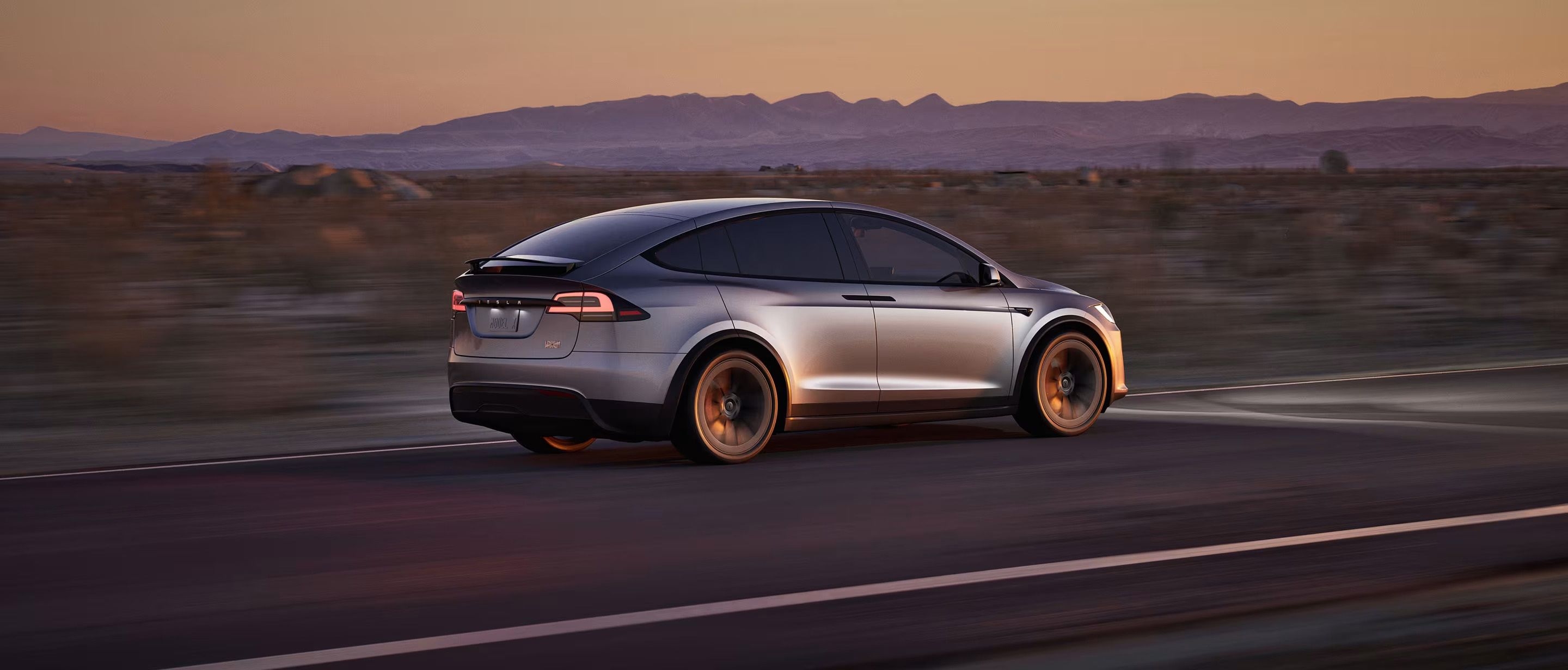 Model X