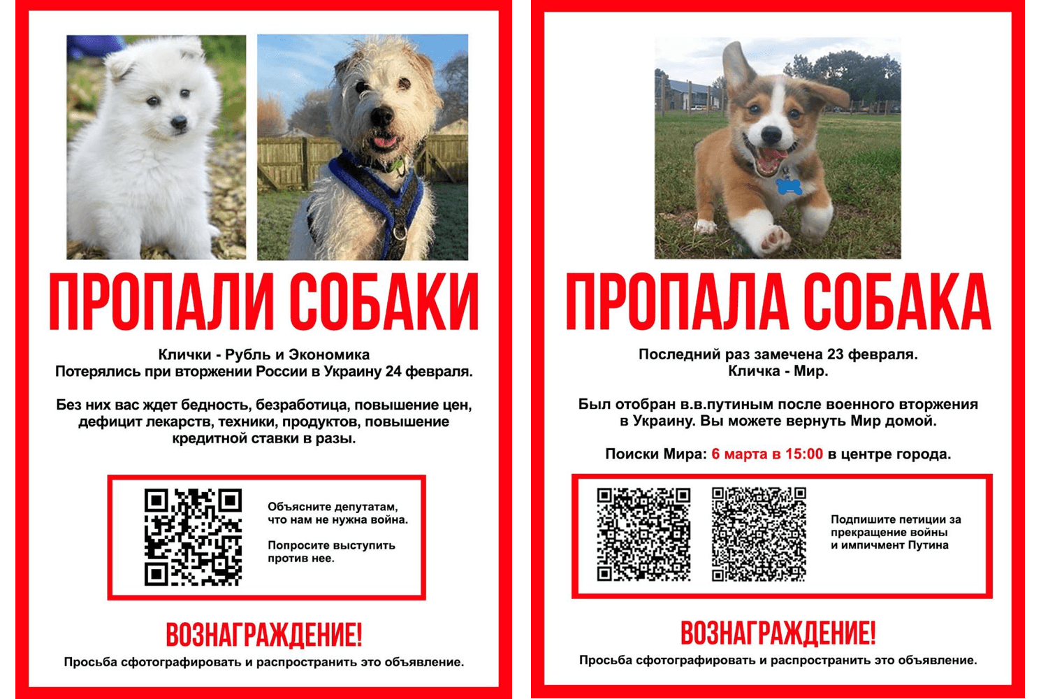 Миниатюра 14