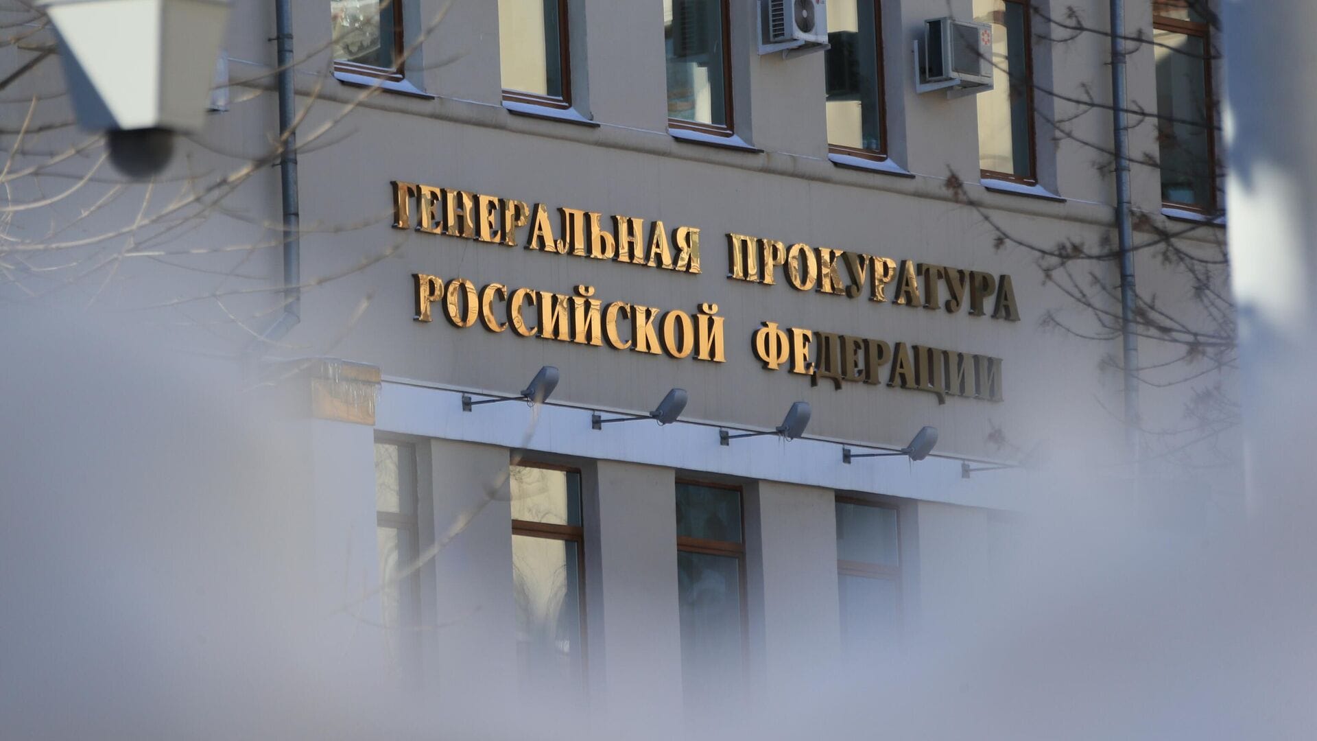 Немецкую Dekabristen e.V объявили «нежелательной организацией» в России